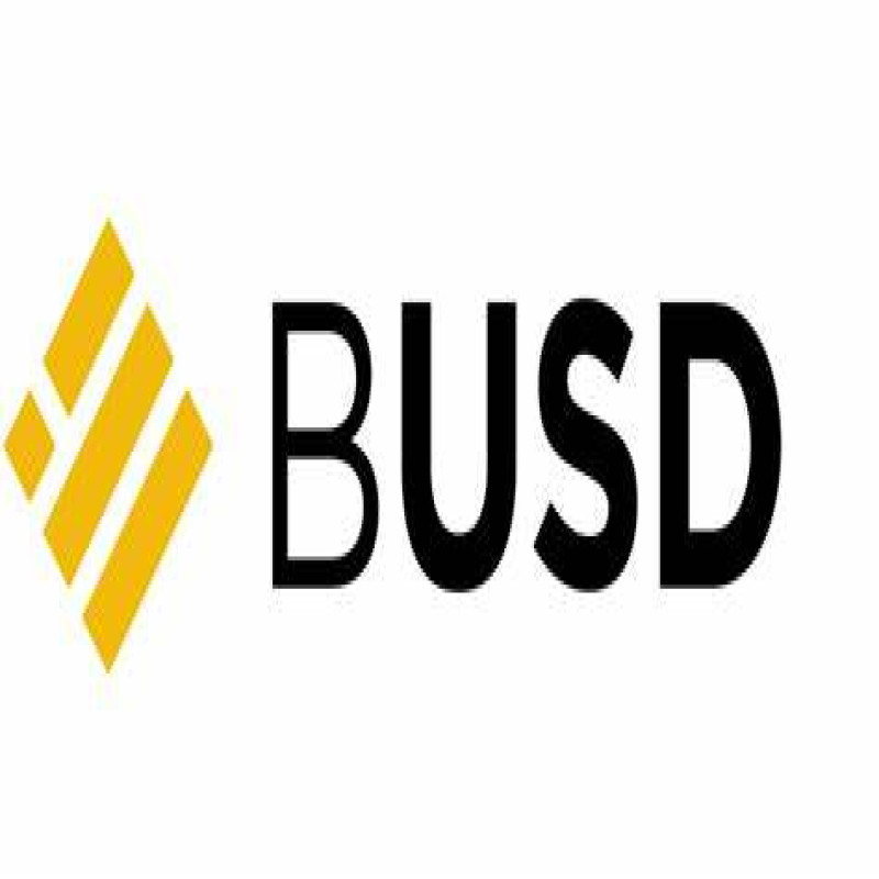 BINANCE USD ( BUSD)